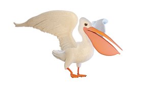 Pelican 3D model