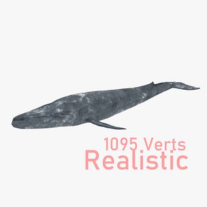 Low Poly, High detail realistic Blue Whale