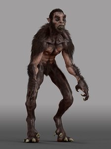 3d - animations model