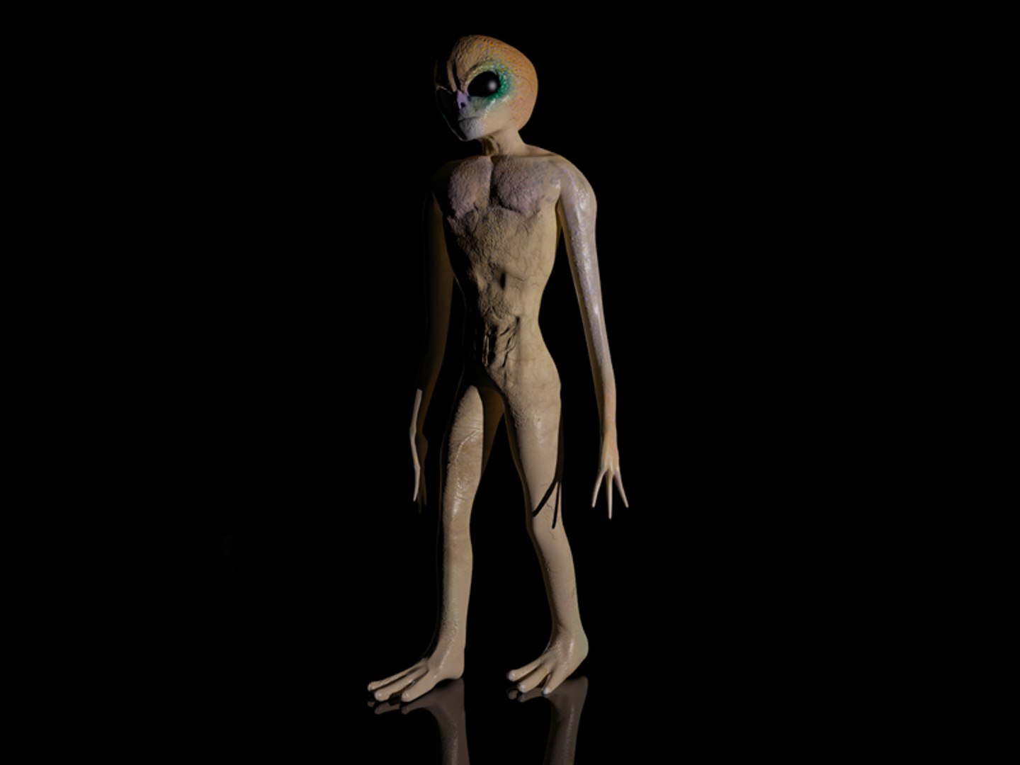 3ds max alien https://p.turbosquid.com/ts-thumb/qO/WnhLHQ/IBwJnEl6/tavola11/jpg/1432027423/1920x1080/fit_q87/899f2dd0e3e47fb4f45b62667370e7068b6e3258/tavola11.jpg