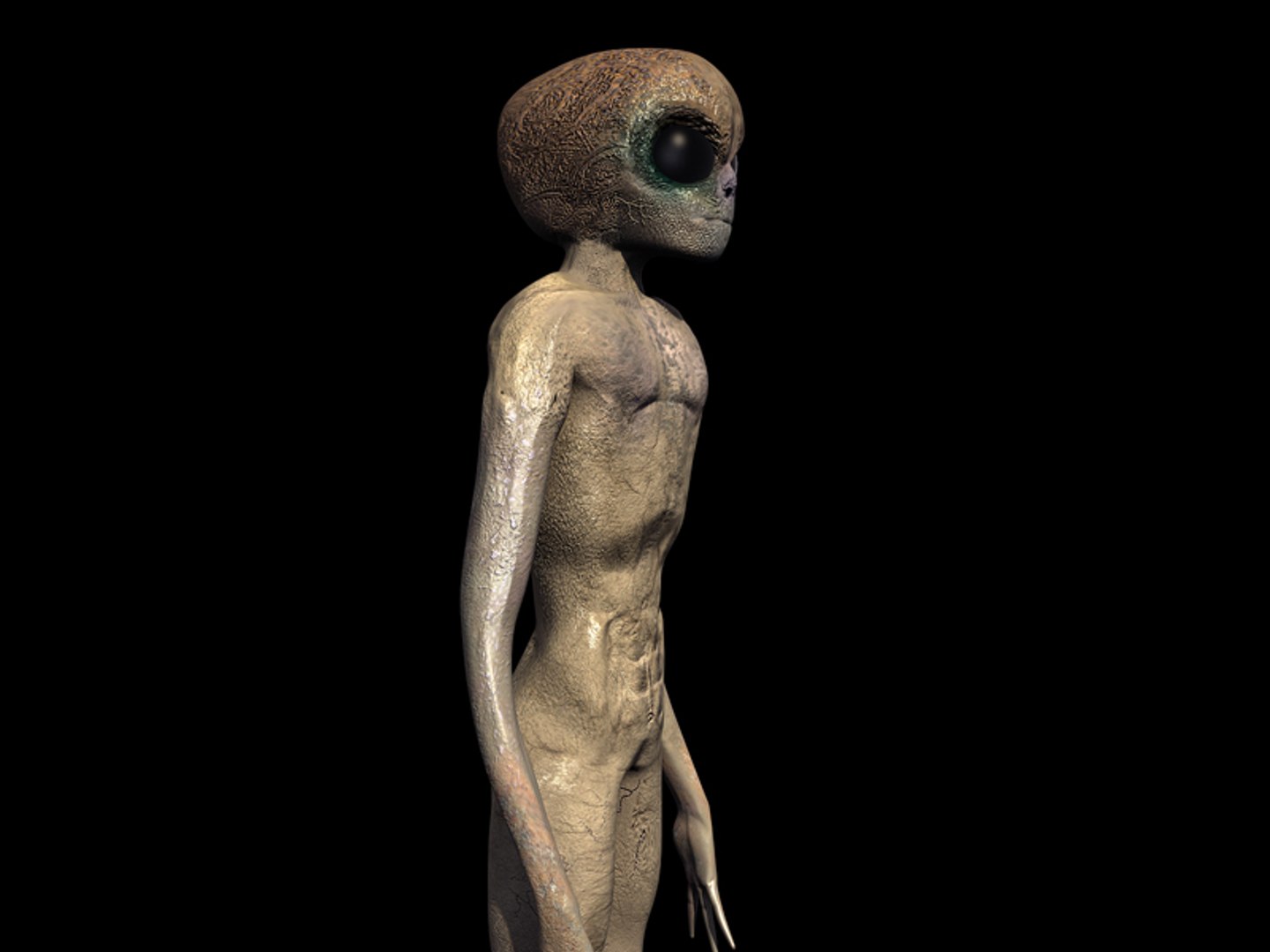 3ds max alien https://p.turbosquid.com/ts-thumb/qO/WnhLHQ/aUAjKlch/tavola4/jpg/1432027423/1920x1080/fit_q87/18467cc7a31696bdd948e84e174d10d1094a7692/tavola4.jpg