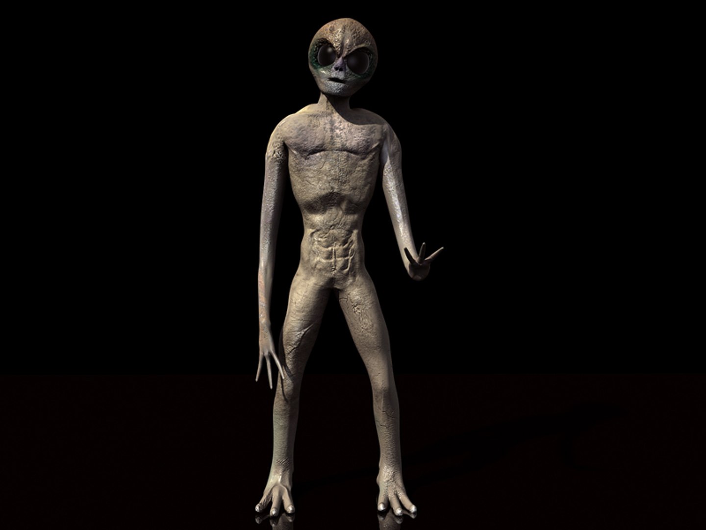 3ds max alien https://p.turbosquid.com/ts-thumb/qO/WnhLHQ/hvkhQdtl/tavola14/jpg/1432027423/1920x1080/fit_q87/31d1d1729ad486cb31ff7c11e8dca0f3d3b5e7f9/tavola14.jpg
