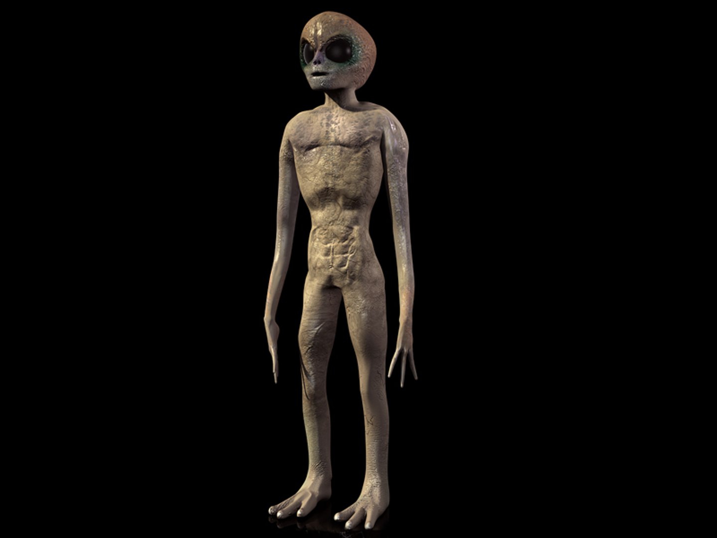 3ds max alien https://p.turbosquid.com/ts-thumb/qO/WnhLHQ/iLdrd8vK/master1/jpg/1432027423/1920x1080/fit_q87/d5e742915b0a74628778aa6b1b16ba1ce7c2abe8/master1.jpg