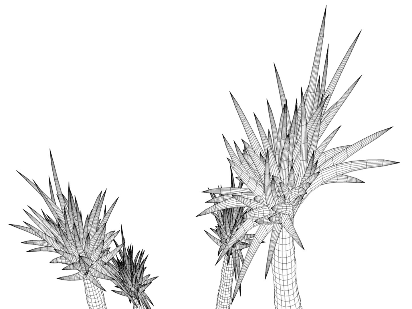 3d bamboo-like plant spinous flowering https://p.turbosquid.com/ts-thumb/qO/WyDeiu/bHJu0BbH/bambus006/jpg/1313254427/1920x1080/fit_q87/41ca6b6e9c7729f8d622c4842a5a426e115bc6da/bambus006.jpg
