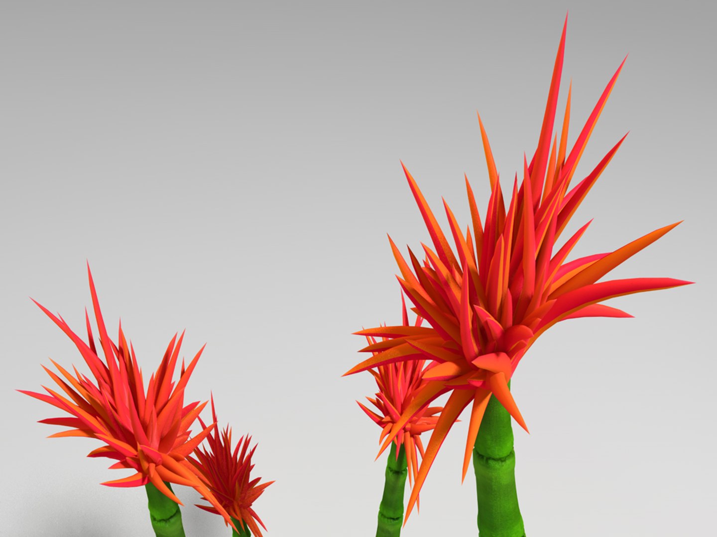 3d bamboo-like plant spinous flowering https://p.turbosquid.com/ts-thumb/qO/WyDeiu/kiEQ6Zgi/bambus004/jpg/1313254427/1920x1080/fit_q87/3be7a683305616b8e7bf5d5274e809bac5b1b383/bambus004.jpg