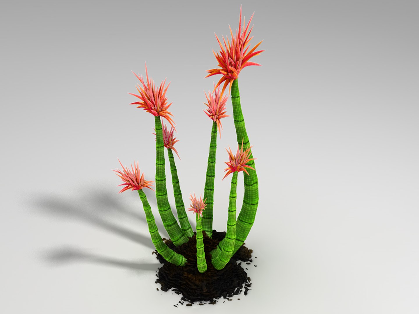 3d bamboo-like plant spinous flowering https://p.turbosquid.com/ts-thumb/qO/WyDeiu/rGDBBgap/bambus002/jpg/1313254427/1920x1080/fit_q87/8b87652a50b924c5149817ad6c9e944e315efec7/bambus002.jpg