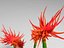 棘開花を伴う竹のような植物