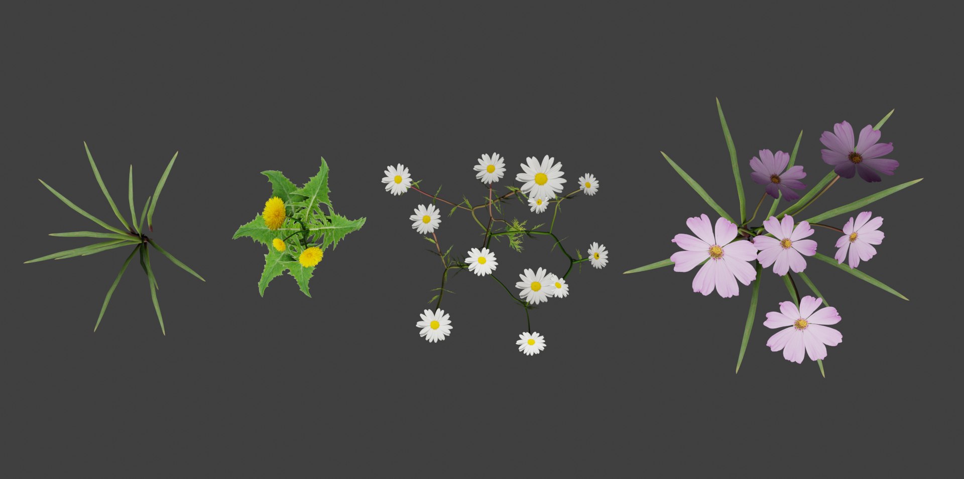3D model grass flowers asset https://p.turbosquid.com/ts-thumb/qO/hjd9R0/BoK3VBTA/3_new/jpg/1569648281/1920x1080/fit_q87/6cd33cd4a21800f8359ee0e66ae58cd1b49d859e/3_new.jpg