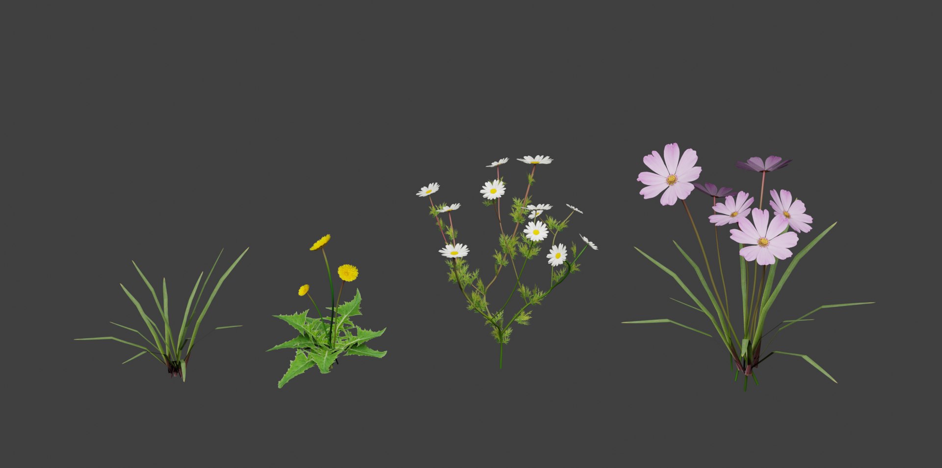 3D model grass flowers asset https://p.turbosquid.com/ts-thumb/qO/hjd9R0/BsXgVCjm/1/png/1569648245/1920x1080/fit_q87/7fdc3b0817e711ab2a08476cb33539857ca4c6dc/1.jpg