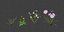 3D model grass flowers asset