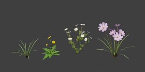 Grass & Flower asset