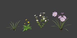 Grass & Flower asset
