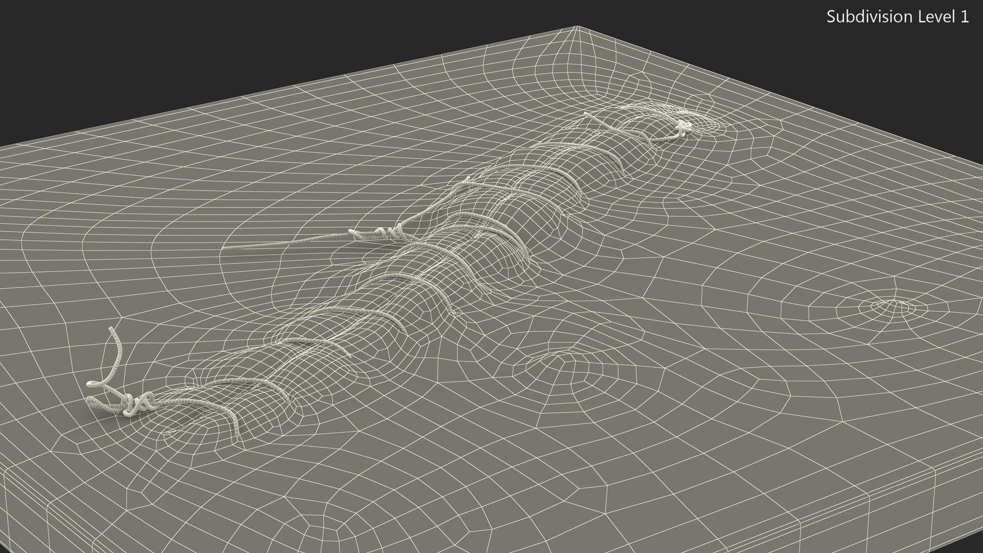 3D model Skin with Medical Seam Open https://p.turbosquid.com/ts-thumb/qO/oGJih3/Ma/skinwithmedicalseamopenmb3dmodel017/jpg/1701843316/1920x1080/fit_q87/39cc7bbf7b9a733b945412a5dbe8dfb04637639e/skinwithmedicalseamopenmb3dmodel017.jpg
