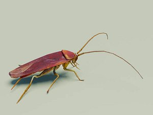 3d cockroach roach