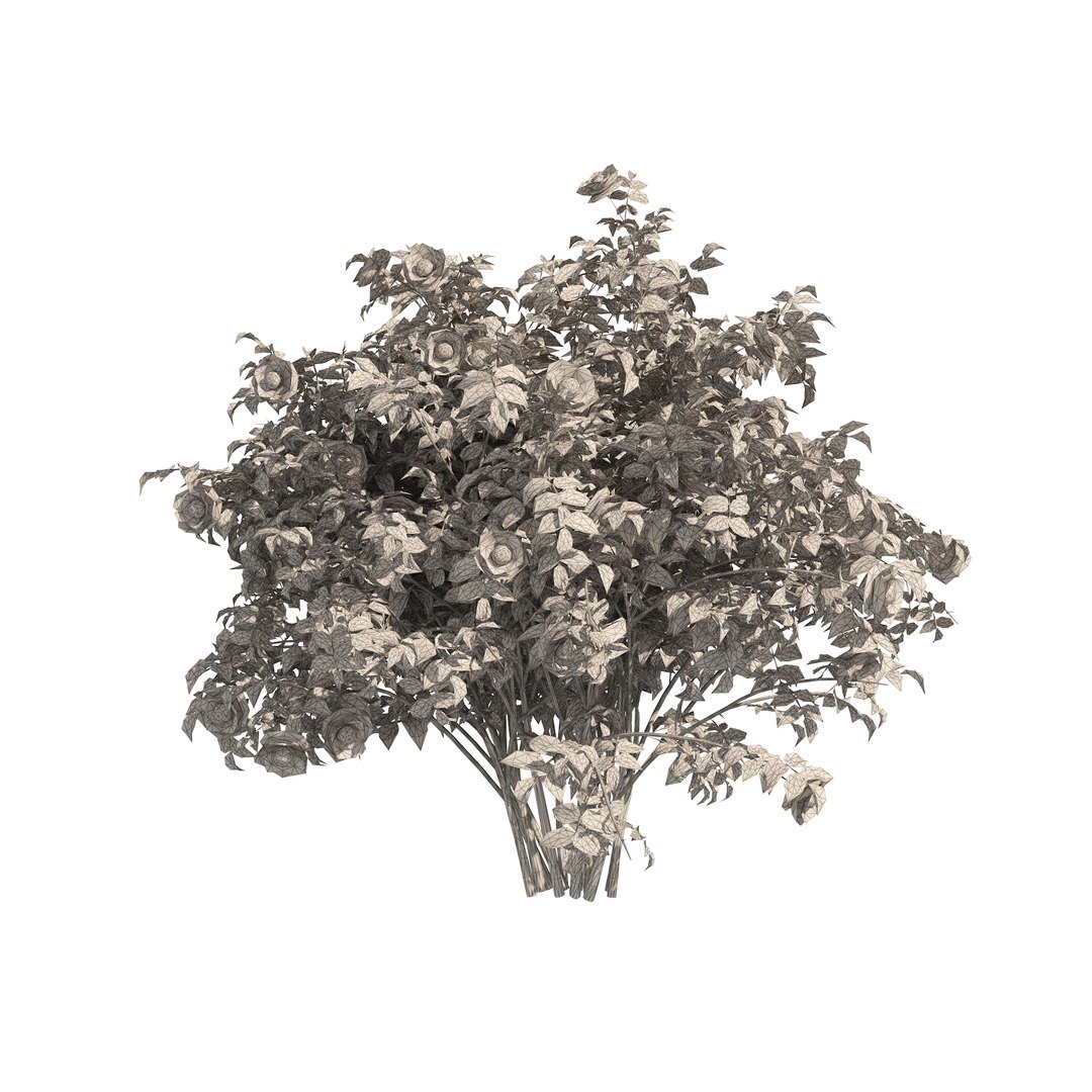 3 Red Rose Flower Bush Low Poly 3D model https://p.turbosquid.com/ts-thumb/qP/2CoXR6/L4/2wire/jpg/1648041010/1920x1080/fit_q87/960c0ef3aa7c8baa47459a9f6f58162eebdbd28a/2wire.jpg