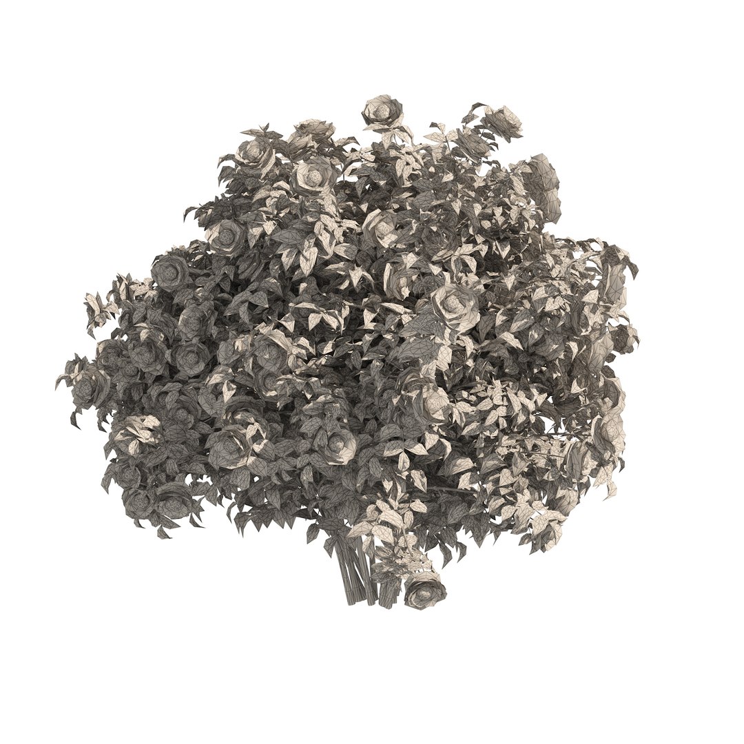 3 Red Rose Flower Bush Low Poly 3D model https://p.turbosquid.com/ts-thumb/qP/2CoXR6/Ow/wire01/jpg/1648041020/1920x1080/fit_q87/2c47c7f57eedfddb6575f858c0b90b4deee8830c/wire01.jpg