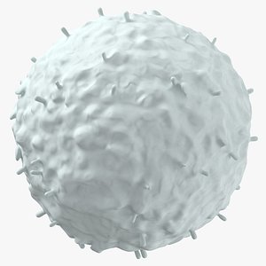 Animal Cell White model