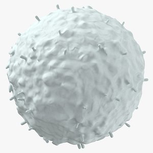 Free & Premium 3D USD Models - Download .usd Files | TurboSquid