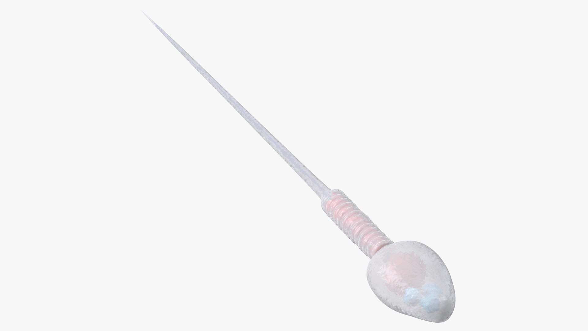 Human Sperm Cell Rigged 3D model https://p.turbosquid.com/ts-thumb/qP/QGBYga/1S/humanspermcellriggedvray3dmodel013/jpg/1684020029/1920x1080/fit_q87/32889c532b19685e1d1ca9d4099f4ad6acb2cea1/humanspermcellriggedvray3dmodel013.jpg