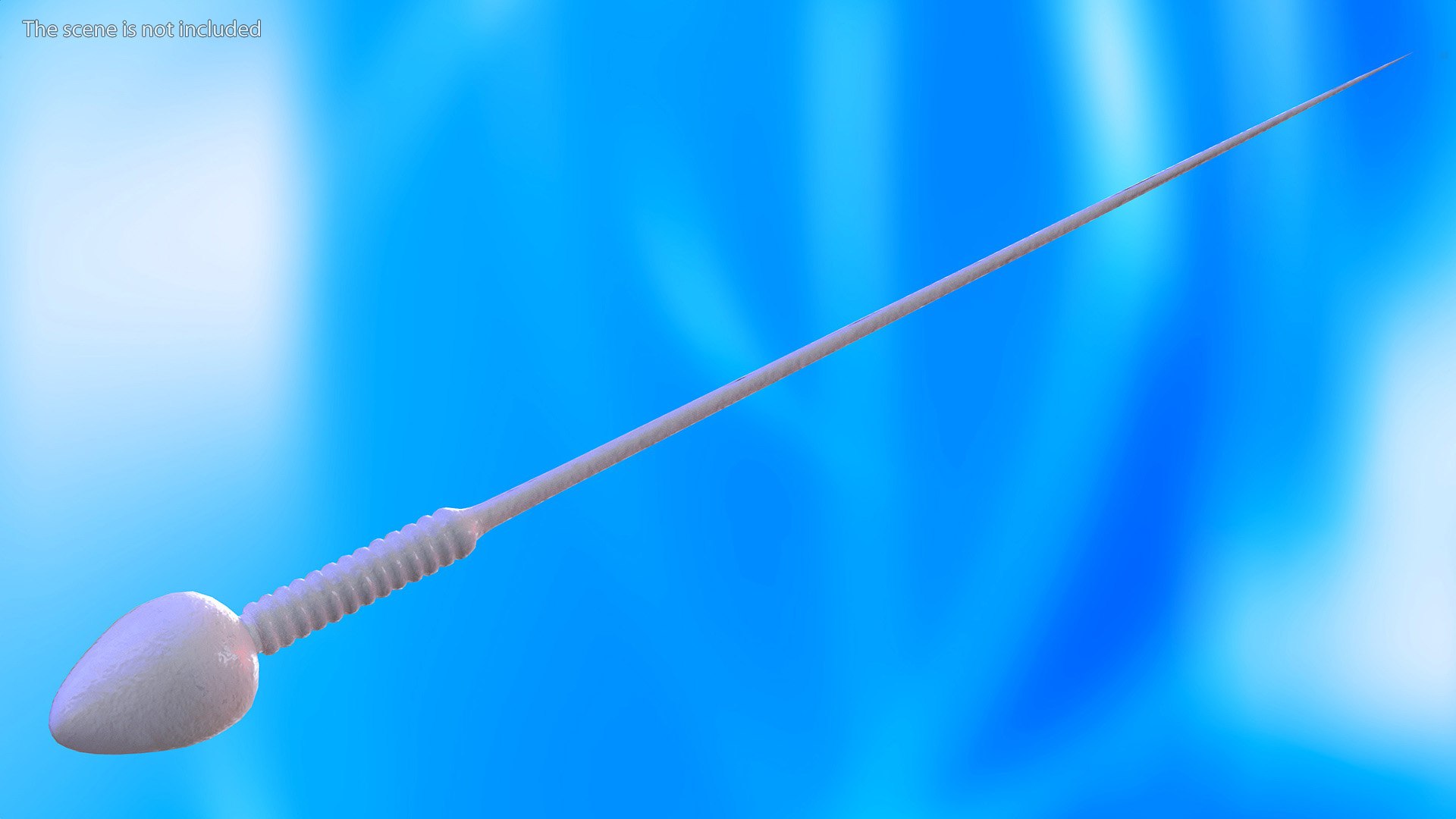 Human Sperm Cell Rigged 3D model https://p.turbosquid.com/ts-thumb/qP/QGBYga/On/humanspermcellriggedvray3dmodel005/jpg/1684020006/1920x1080/fit_q87/ea99417ee952717ee96ed2a3cbb4c1f5cecc0c7e/humanspermcellriggedvray3dmodel005.jpg