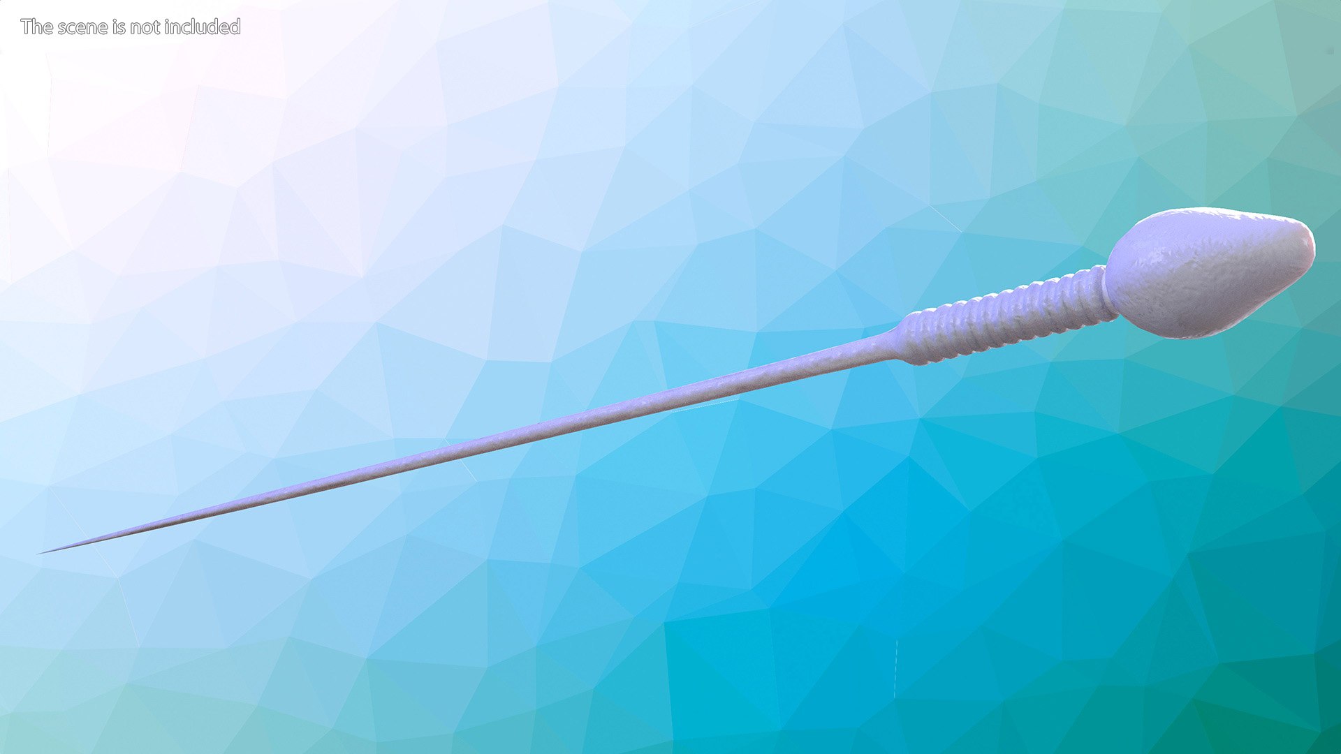 Human Sperm Cell Rigged 3D model https://p.turbosquid.com/ts-thumb/qP/QGBYga/Pt/humanspermcellriggedvray3dmodel003/jpg/1684020000/1920x1080/fit_q87/5863c56b7e0caf5aeff5b596244b6de454679b09/humanspermcellriggedvray3dmodel003.jpg