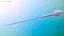 Human Sperm Cell Rigged