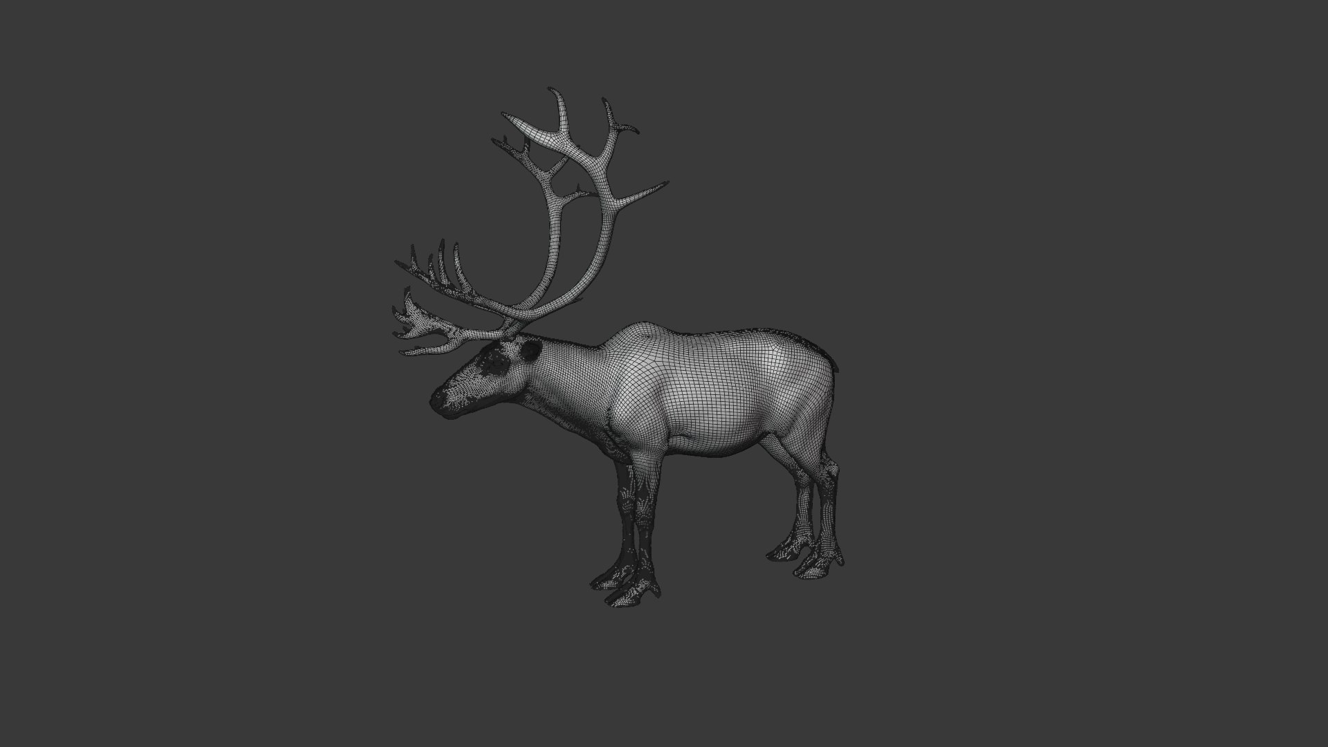 3D reindeer rigging animation male model https://p.turbosquid.com/ts-thumb/qP/U5EKGx/9yMQubzM/reindeer_male_wire02_2/png/1603893537/1920x1080/fit_q87/37783139cb8b679f5939081f3cc9765b4fee1899/reindeer_male_wire02_2.jpg