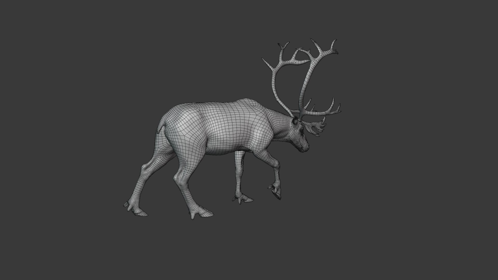 3D reindeer rigging animation male model https://p.turbosquid.com/ts-thumb/qP/U5EKGx/aR4wSj1b/reindeer_male_wire03_1/png/1603893536/1920x1080/fit_q87/479a94669262793c0cadd61ac42a335a945dd454/reindeer_male_wire03_1.jpg