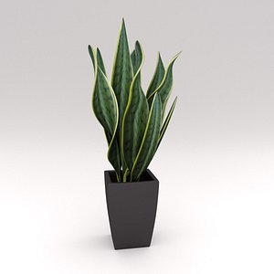 3d model plant potted