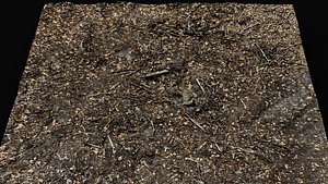3D forest ground cutted tree branches leafs part8 photogrammetry model