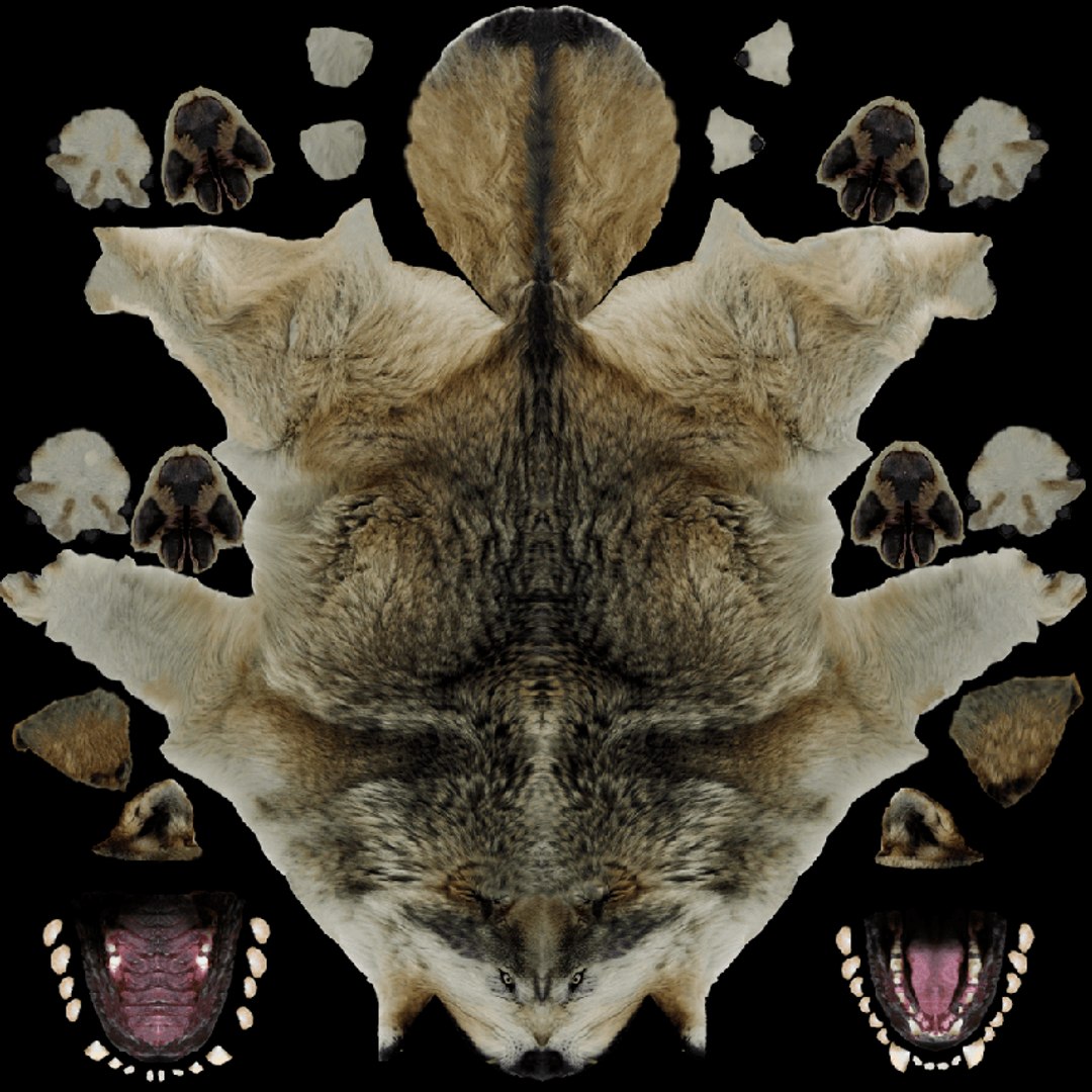 Gray Wolf 3D model https://p.turbosquid.com/ts-thumb/qP/wKnTYr/0z/uv/png/1650979676/1920x1080/fit_q87/79591adab8c339111584ef82bd341bbc6a15790c/uv.jpg