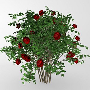 bush red roses 3D model