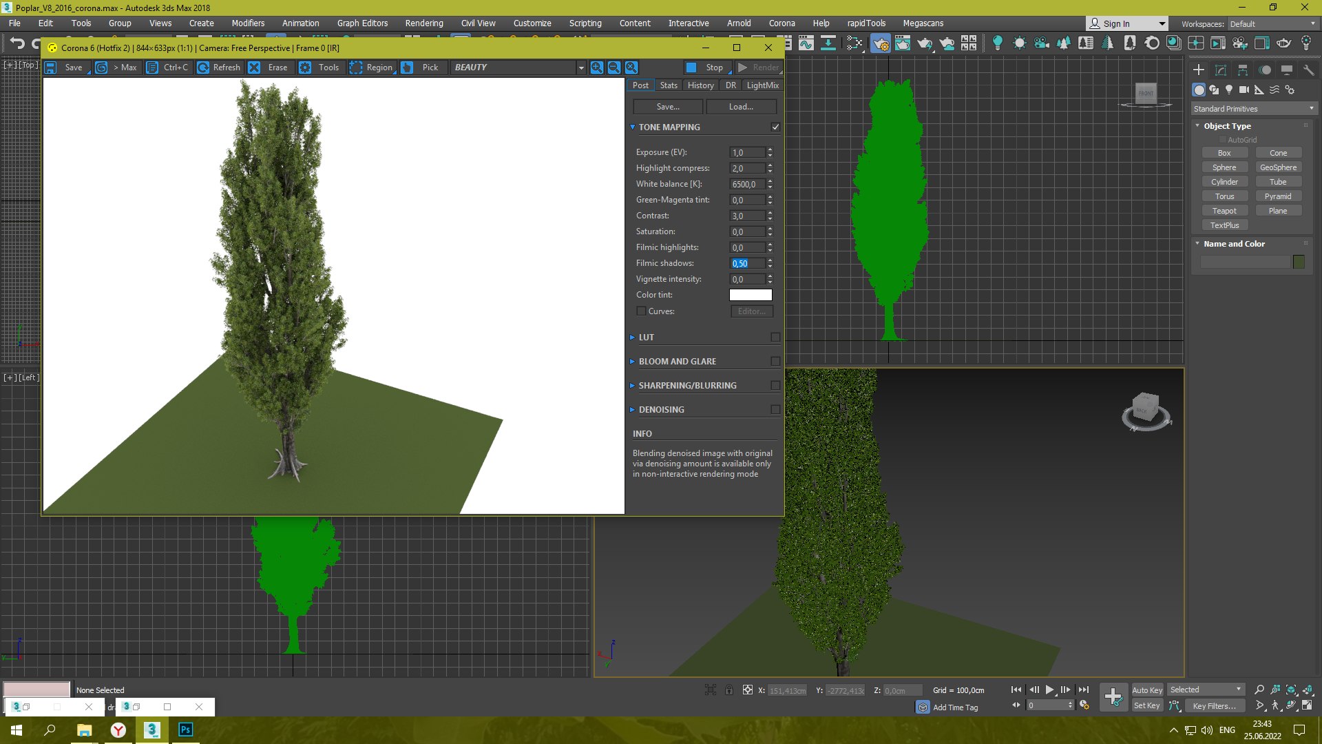 3D Poplar Populus Nigra V8 Model - TurboSquid 1919322