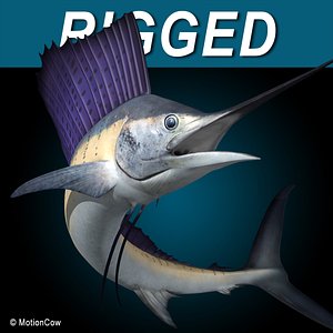 3d realistic rigged dorsal