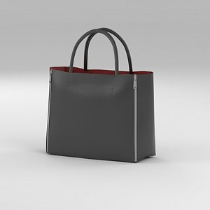 celine cebas gusset bag 3d model