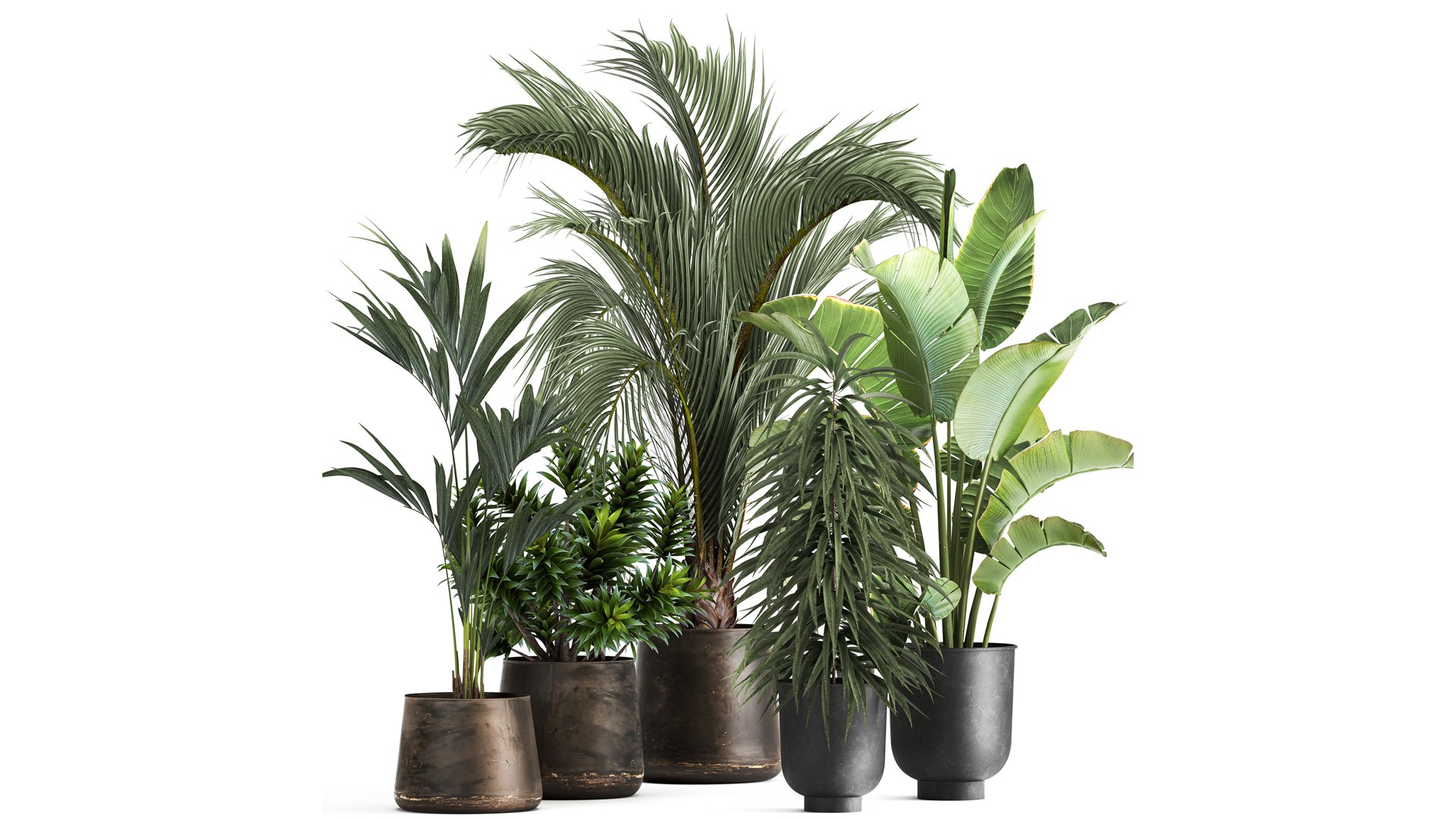 3D Exotic plants in a metal flowerpot for the interior model https://p.turbosquid.com/ts-thumb/qQ/eFuUB8/3P/1plants1702202202/jpg/1645196663/1920x1080/fit_q87/61b45dcefd8ed981eb7e2a9b3576eb3ea4115733/1plants1702202202.jpg
