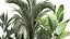 Exotic plants in a metal flowerpot for the interior