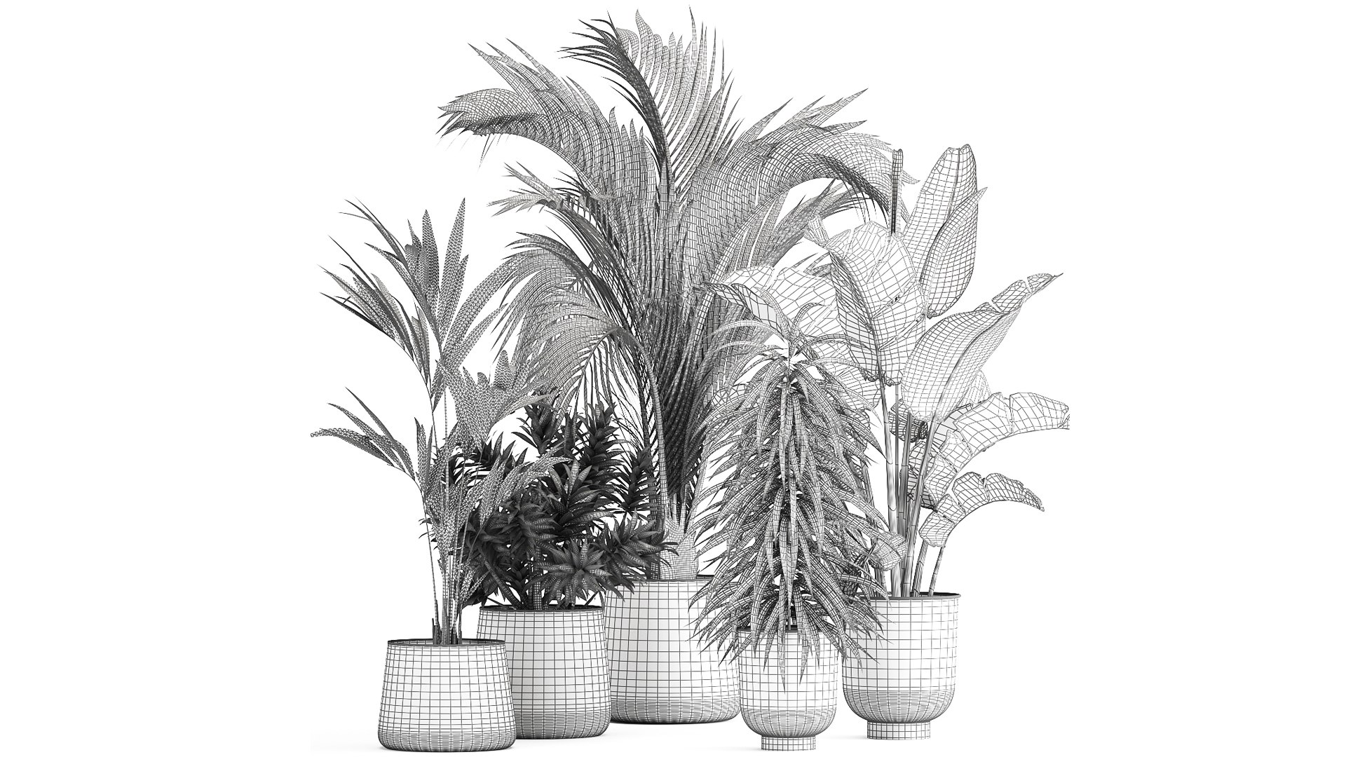 3D Exotic plants in a metal flowerpot for the interior model https://p.turbosquid.com/ts-thumb/qQ/eFuUB8/Nc/1plants1702202209/jpg/1645196666/1920x1080/fit_q87/1f6ea23a4143b9c7795aa7263d90d36864e662e5/1plants1702202209.jpg