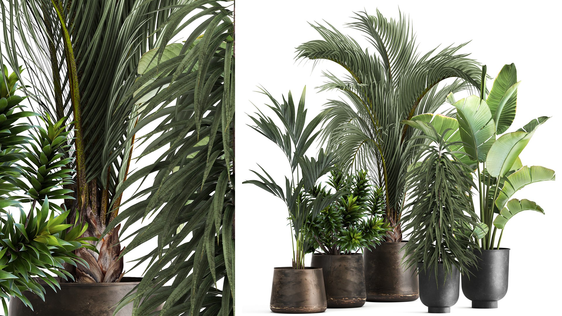 3D Exotic plants in a metal flowerpot for the interior model https://p.turbosquid.com/ts-thumb/qQ/eFuUB8/RY/1plants1702202201/jpg/1645196670/1920x1080/fit_q87/7af09ae62308595a299282c2a058d9462337ce4a/1plants1702202201.jpg