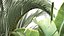 Exotic plants in a metal flowerpot for the interior