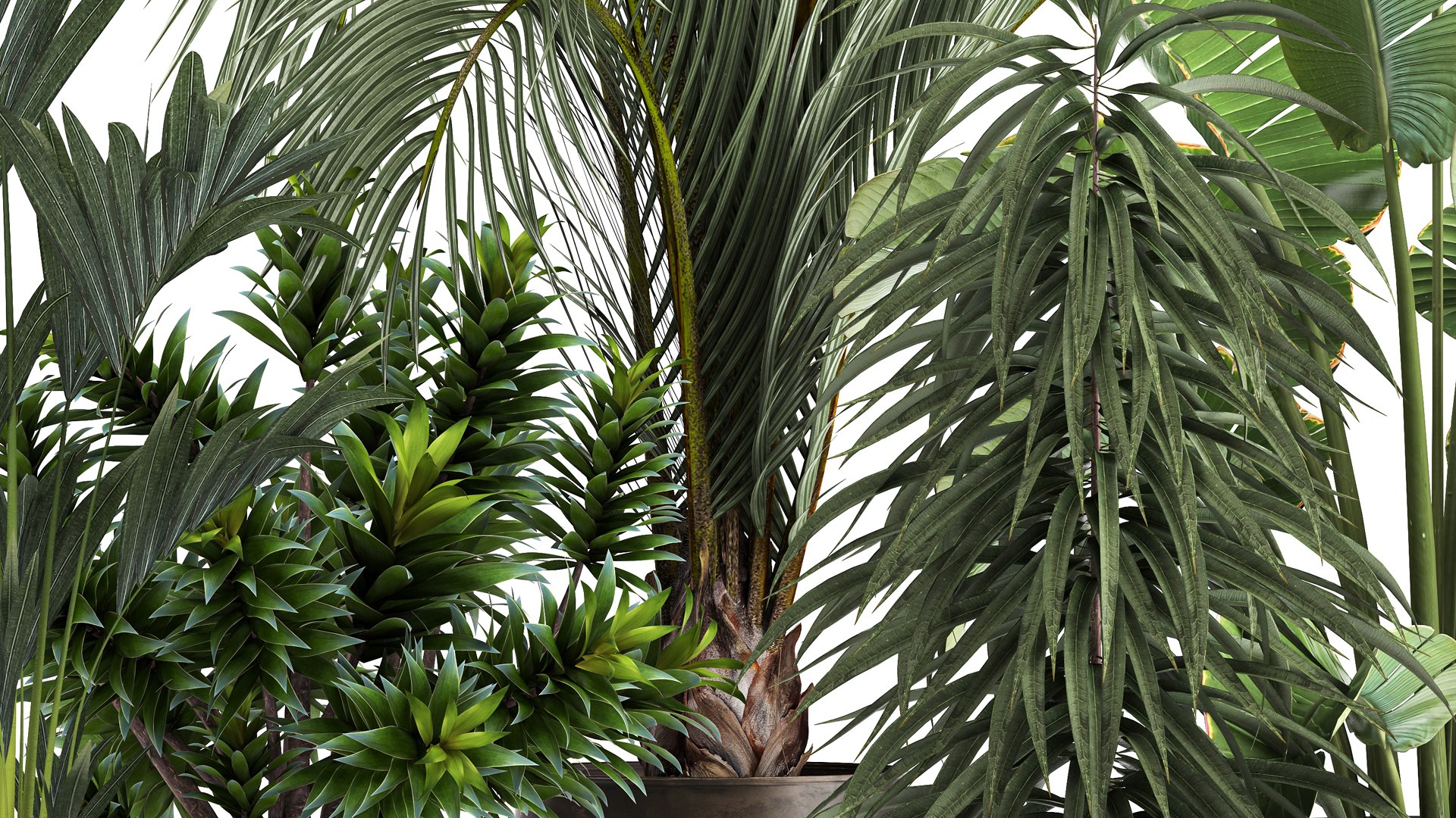 3D Exotic plants in a metal flowerpot for the interior model https://p.turbosquid.com/ts-thumb/qQ/eFuUB8/jP/1plants1702202205/jpg/1645196668/1920x1080/fit_q87/1c7c826c348857cfc7e146ac8aa339ae76743e58/1plants1702202205.jpg