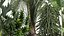 Exotic plants in a metal flowerpot for the interior