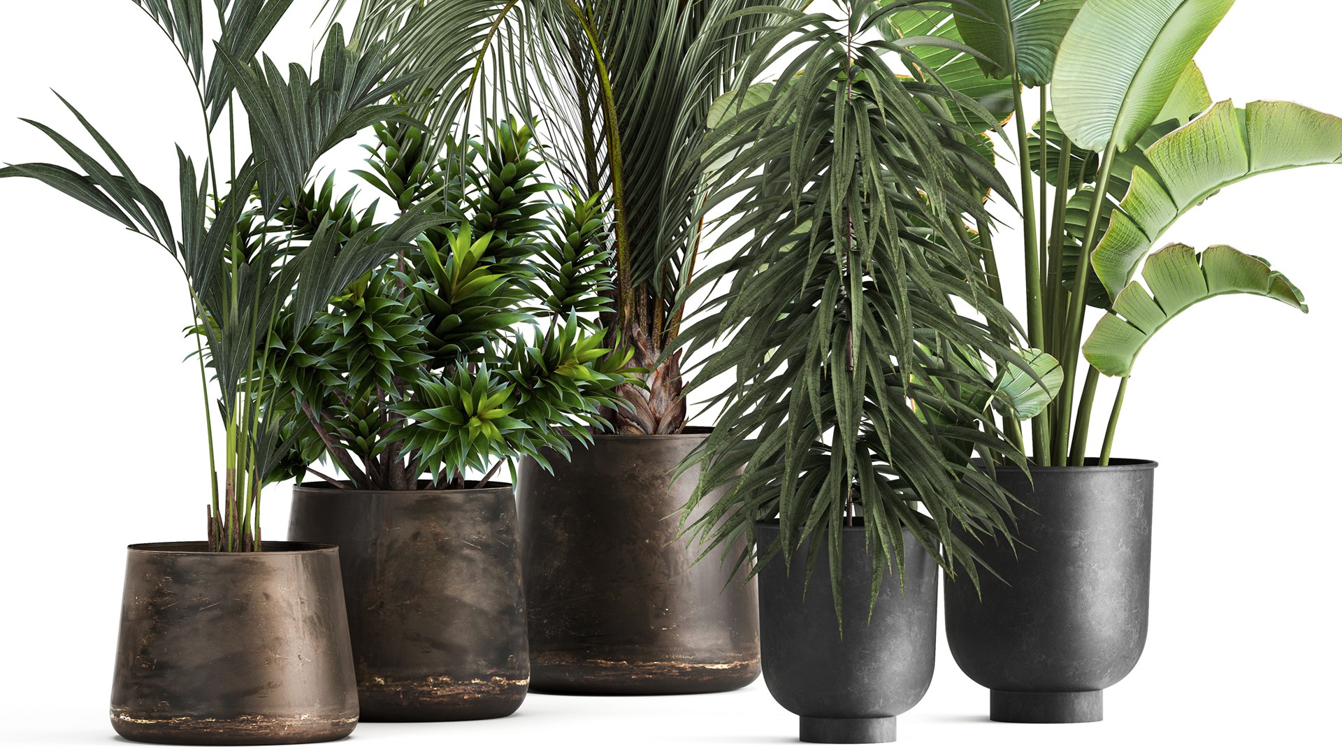 3D Exotic plants in a metal flowerpot for the interior model https://p.turbosquid.com/ts-thumb/qQ/eFuUB8/px/1plants1702202203/jpg/1645196666/1920x1080/fit_q87/2cfc6a7ed730637aed1f29377badff92a1212438/1plants1702202203.jpg