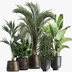 Exotic plants in a metal flowerpot for the interior