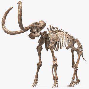 3D Mammoth Skeleton Old Bones Rigged for Modo model