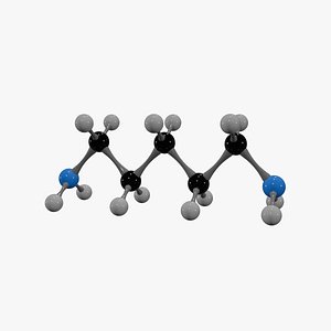 Cadaverine Molecule 3D model