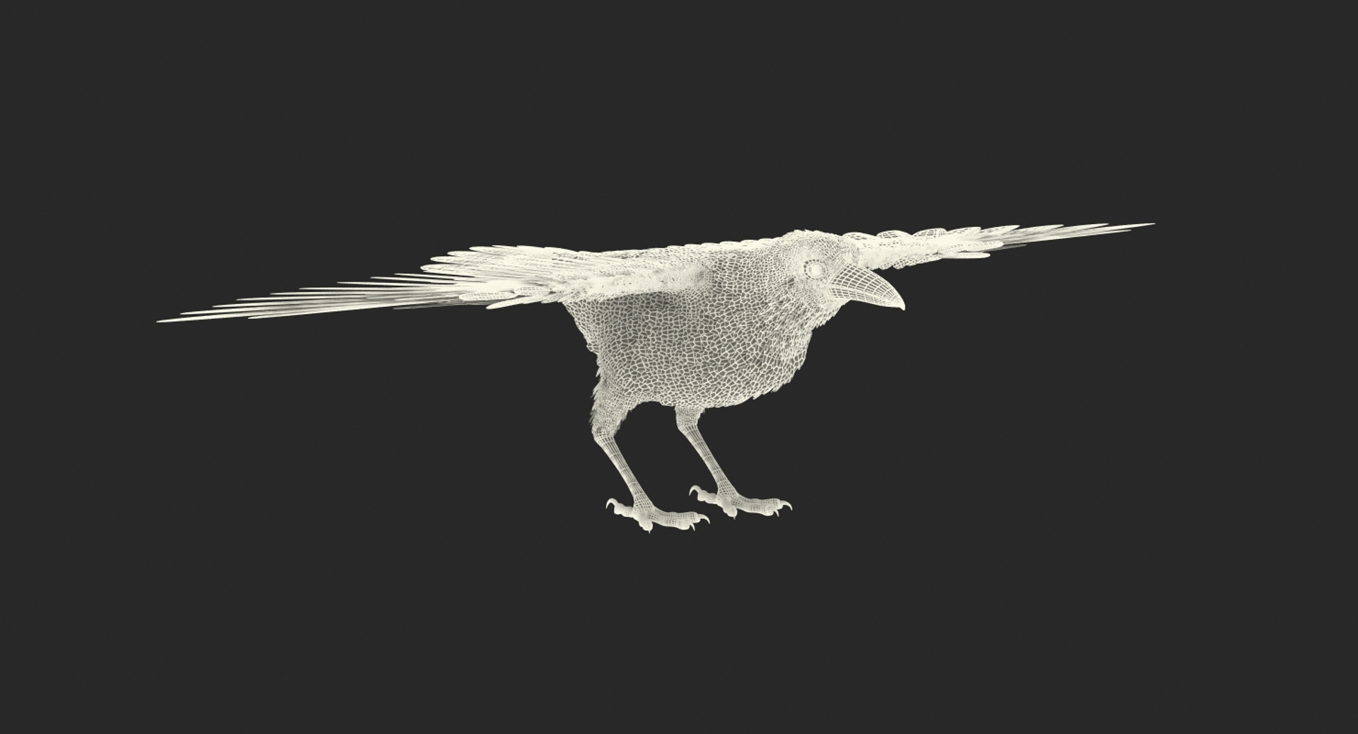Common Raven Rigged 3D Model - TurboSquid 1304956