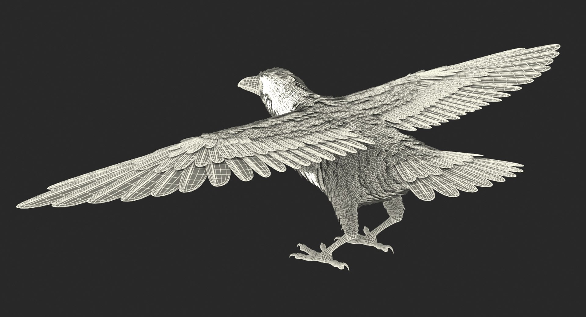 Common raven rigged 3D model - TurboSquid 1304956