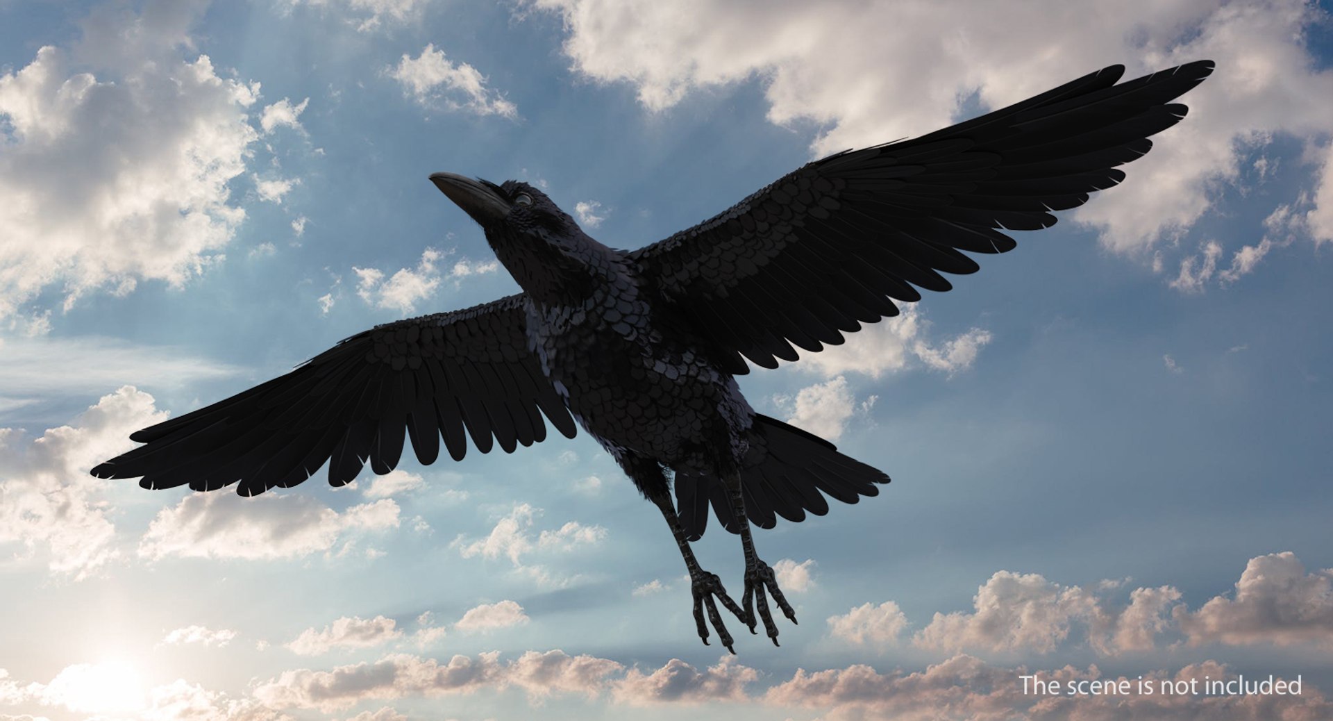 Common Raven Rigged 3D Model - TurboSquid 1304956