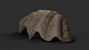 3D Giant fluted clam shell model